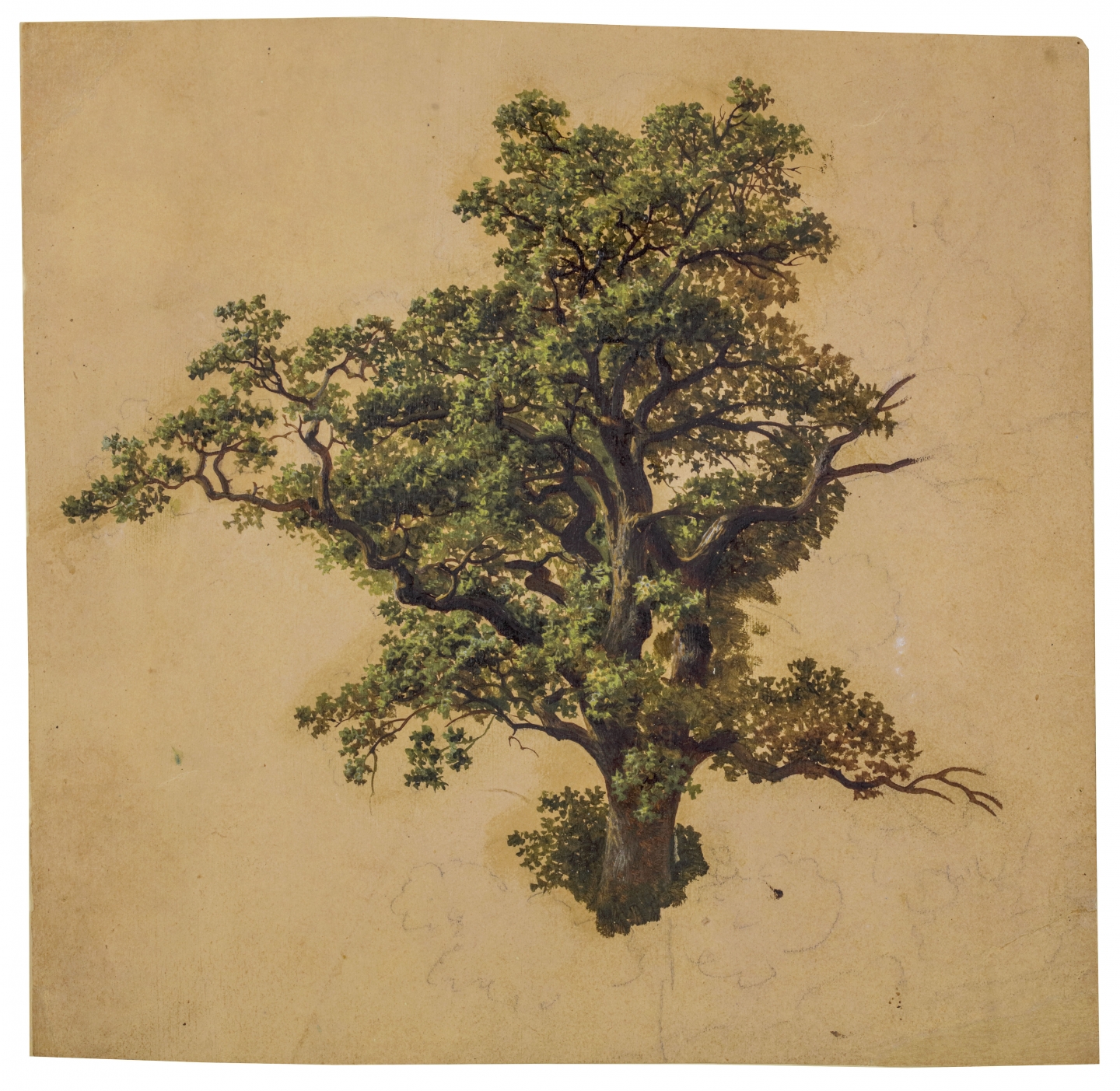 François Roffiaen (Ypres 1820-1898 Ixelles) Study of a tree