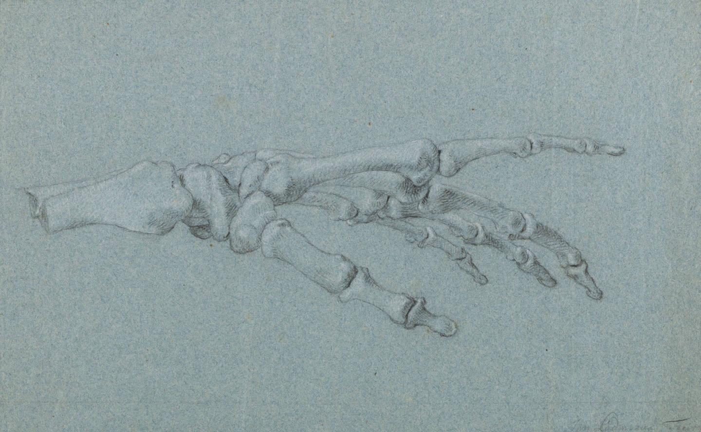Jan l'Admiral (Amsterdam 1699-1773 Amsterdam) Study of the skeleton of a left hand