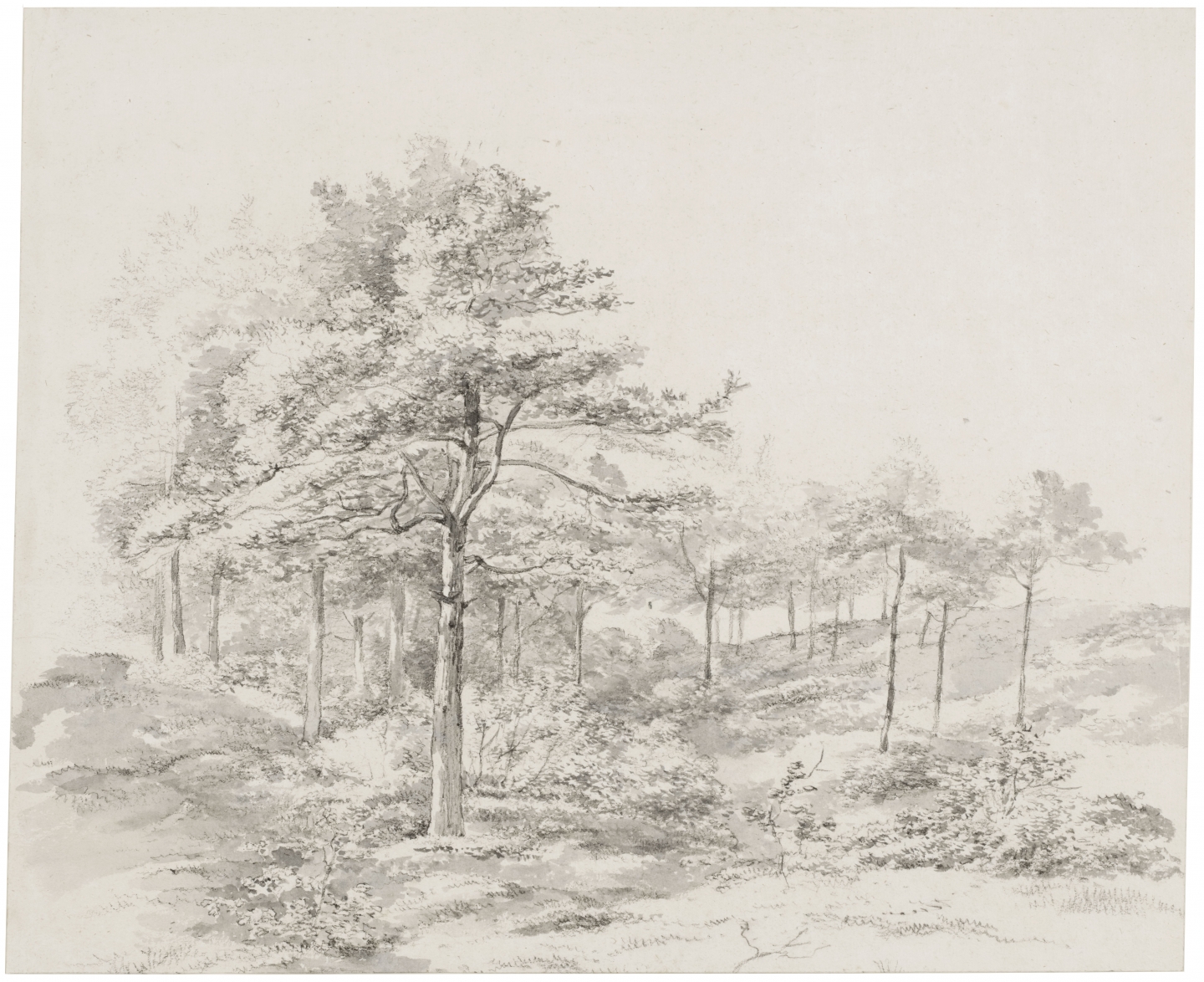 Abraham Johannes Ruytenschildt (Amsterdam 1778-1841 Amsterdam) Sun-drenched forest view