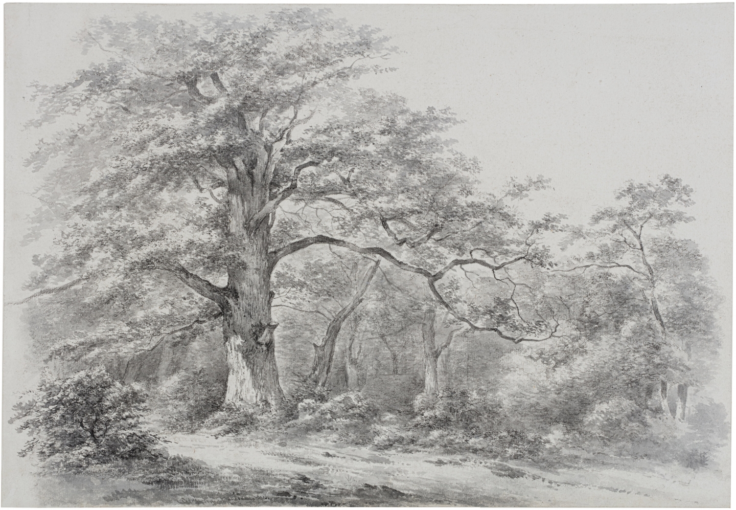 Abraham Johannes Ruytenschildt (Amsterdam 1778-1841 Amsterdam) Forest view with an old oak tree