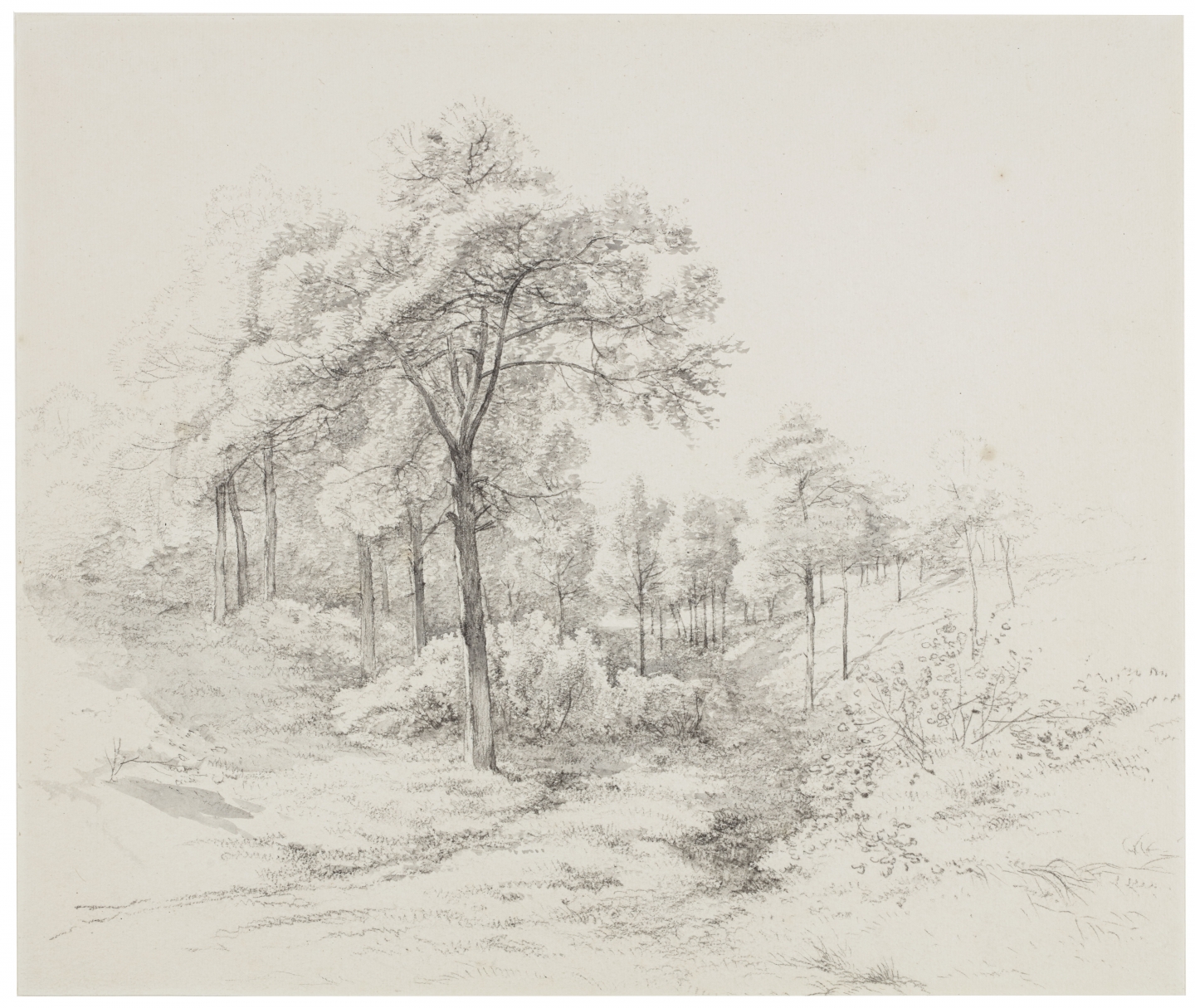 Albertus Brondgeest (Amsterdam 1786-1849 Amsterdam) Sun-drenched forest view