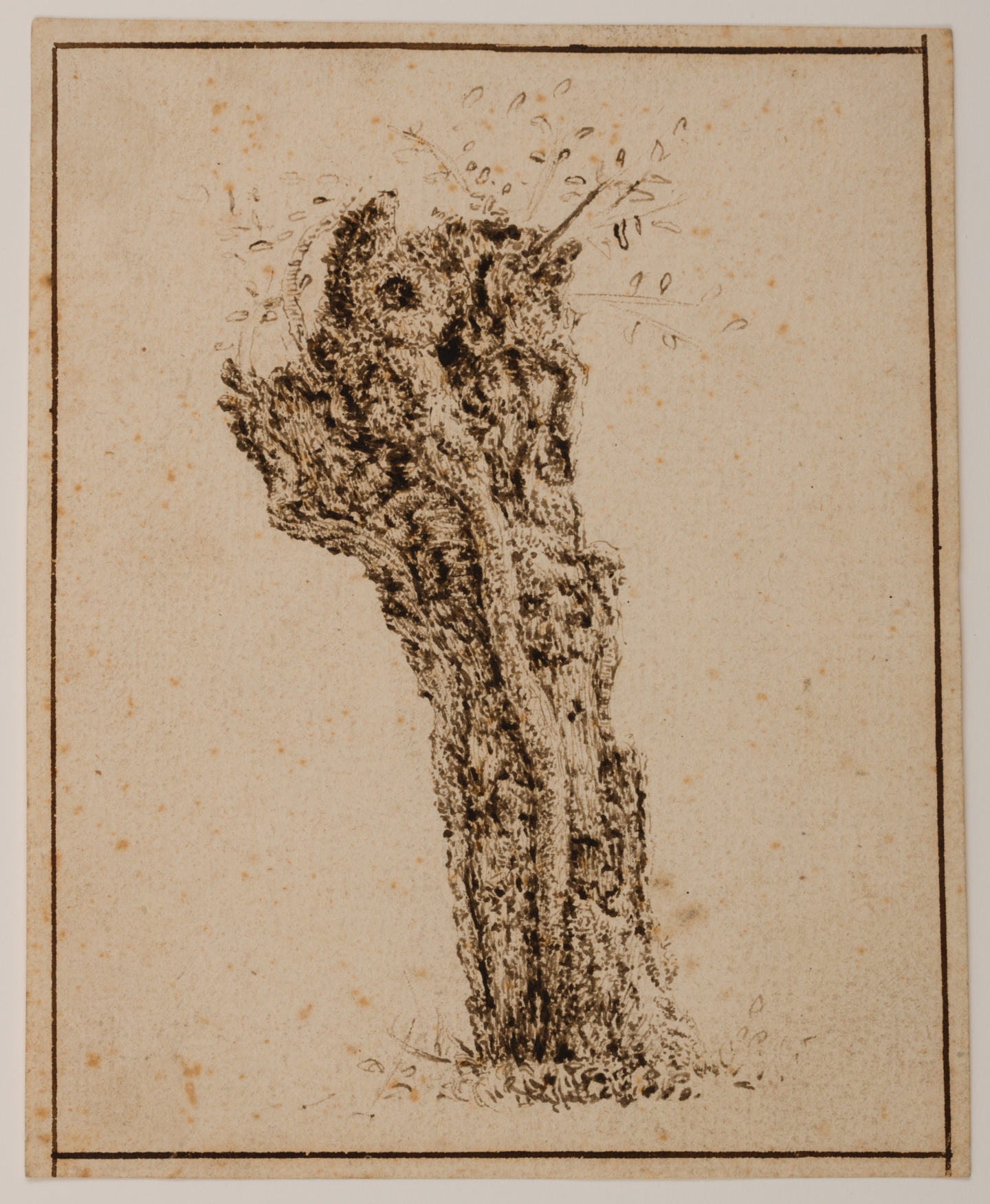 Claes van Beresteyn (Harlem 1629-1684 Harlem) Study of a truncated willow tree (c. 1650)