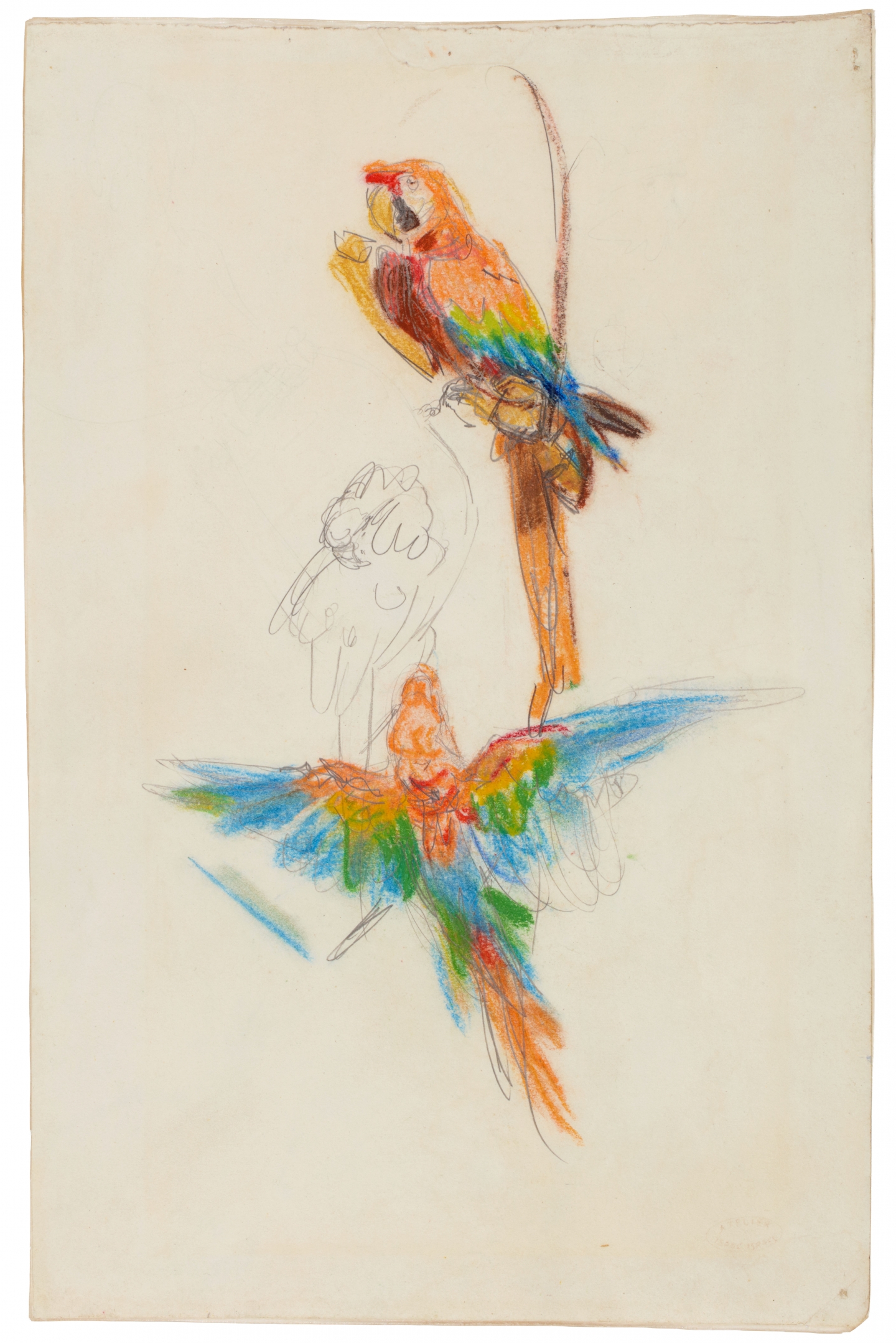 Isaac Israels (Amsterdam 1865-1934 The Hague) Study of two Scarlet Macaw parrots