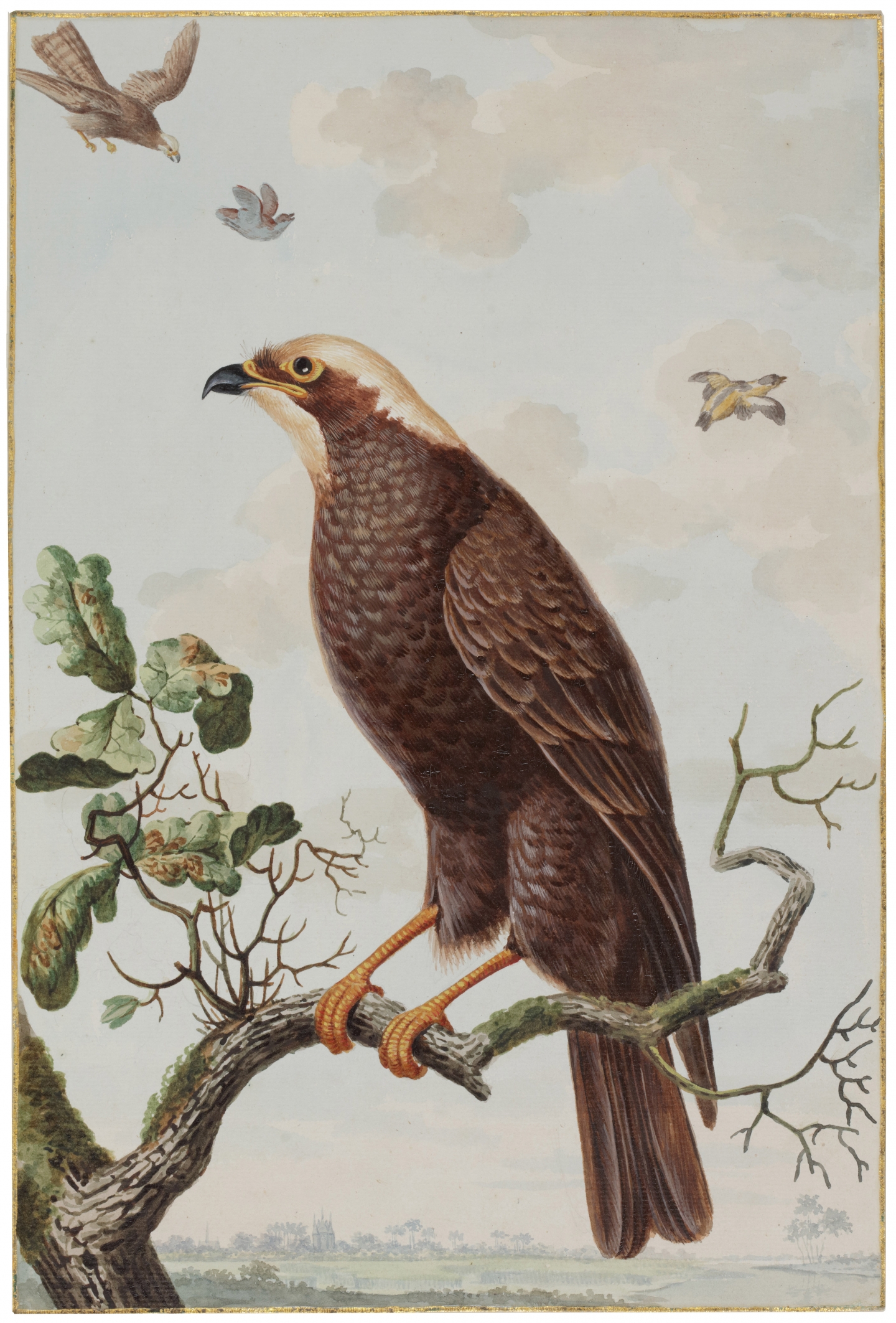 Jabez Heenck (The Hague, 1752-1782 Leyden) Een ordinaire wouw (A harrier)