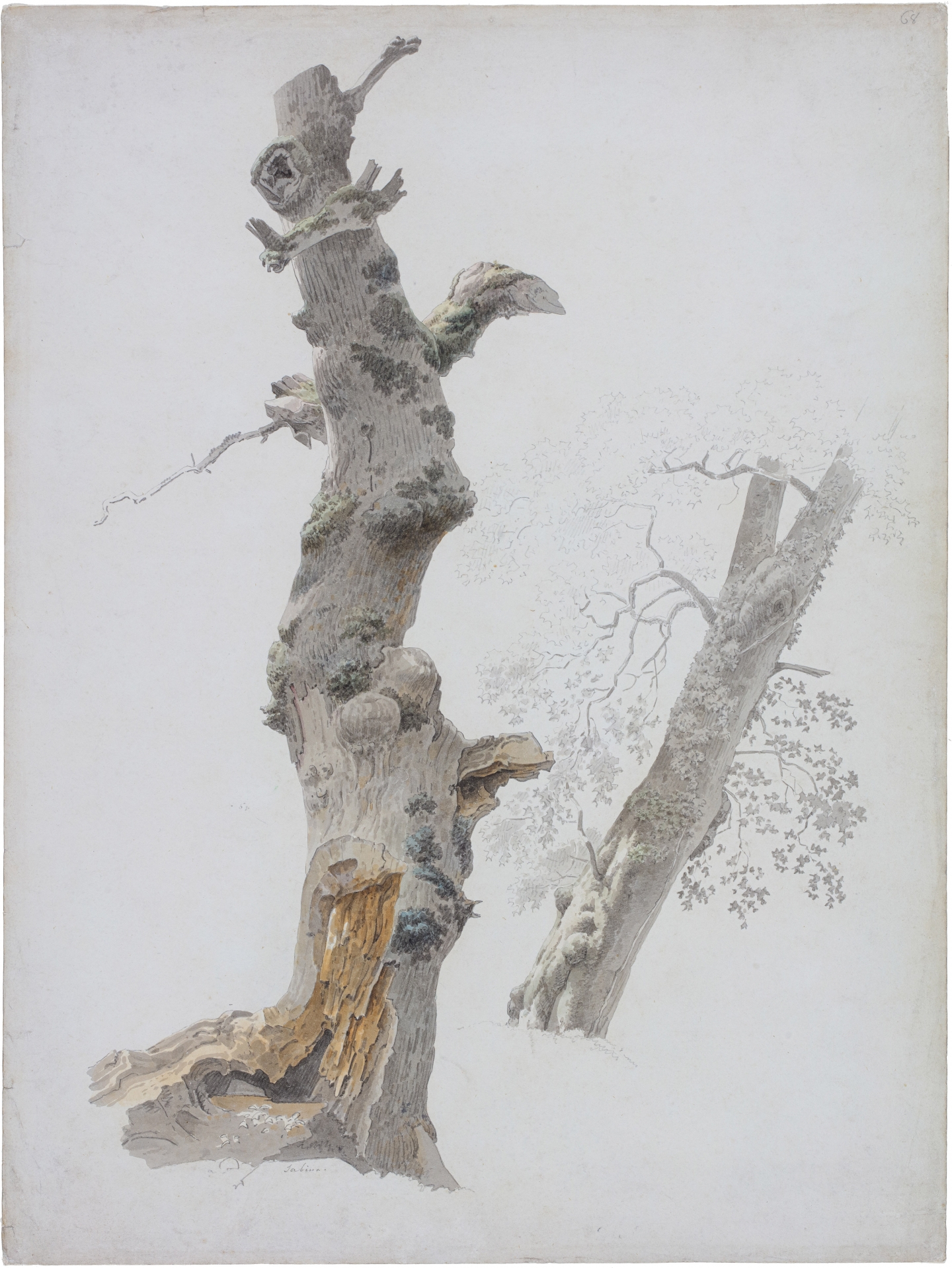 Josephus Augustus Knip (Tilburg 1777-1847 Berlicum) Studies of trees (Sabina, Italy, ca. 1810-1812)