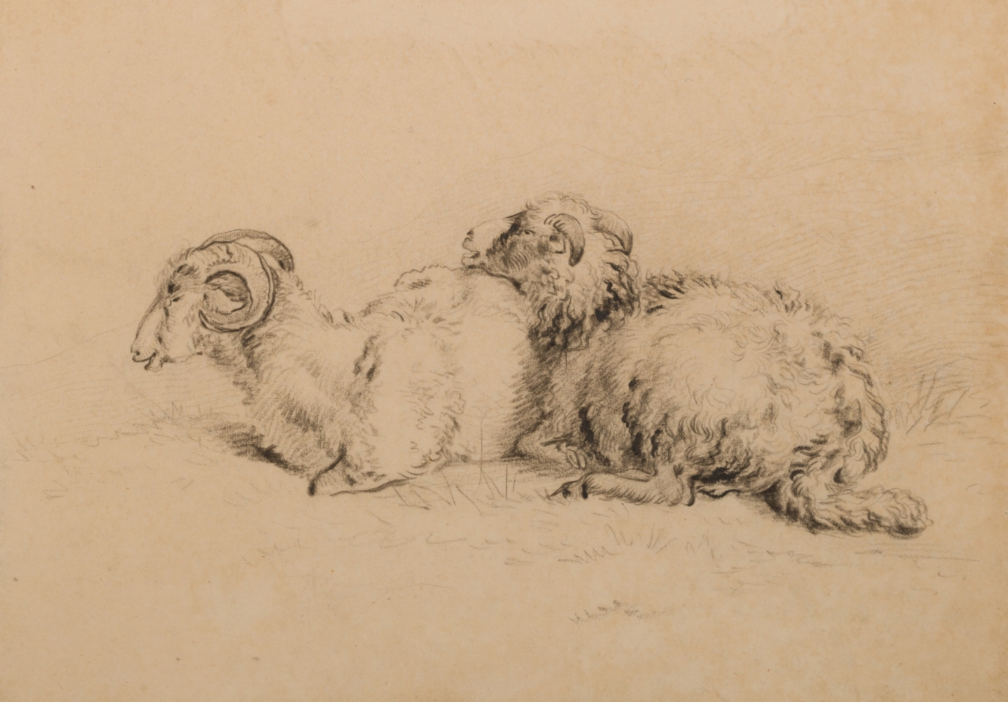 Pieter Gerardus van Os (The Hague, 1776-1839) Two Wiltshire Horn sheep (ewe and ram)