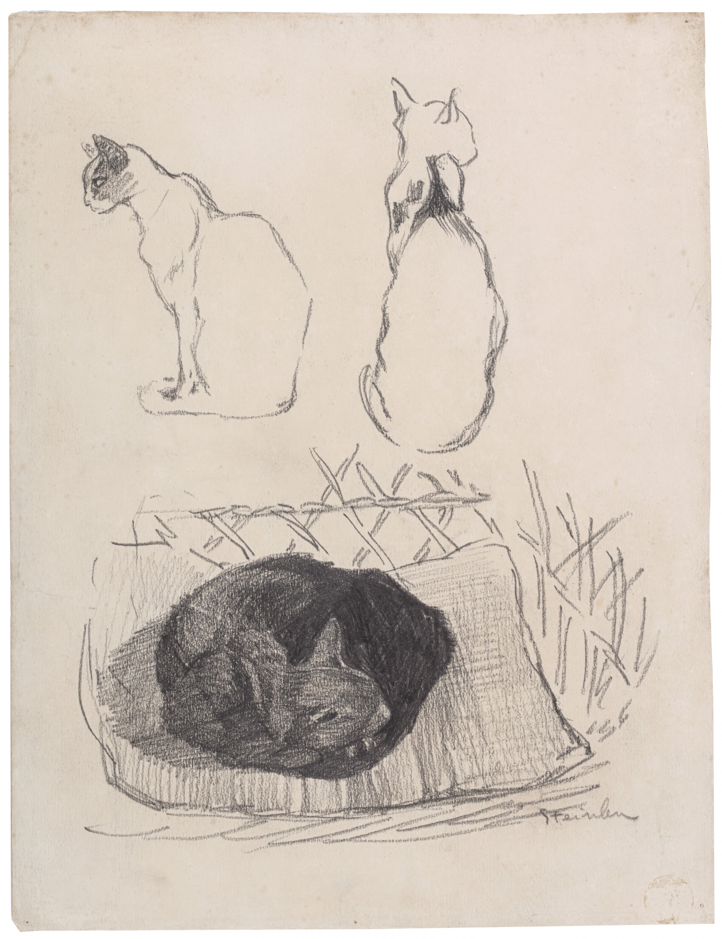 Théophile-Alexandre Steinlen (Lausanne 1859-1923 Paris) Three cats