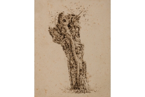 Claes van Beresteyn (Harlem 1629-1684 Harlem) Study of a truncated willow tree (c. 1650)