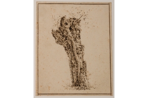 Claes van Beresteyn (Harlem 1629-1684 Harlem) Study of a truncated willow tree (c. 1650)