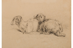 Pieter Gerardus van Os (The Hague, 1776-1839) Two Wiltshire Horn sheep (ewe and ram)