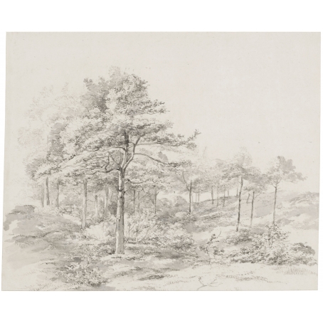 Abraham Johannes Ruytenschildt (Amsterdam 1778-1841 Amsterdam) Sun-drenched forest view