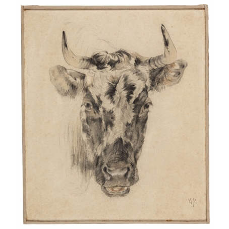 Anton Mauve (Zaandam 1838-1880 Arnhem) Study of a cow