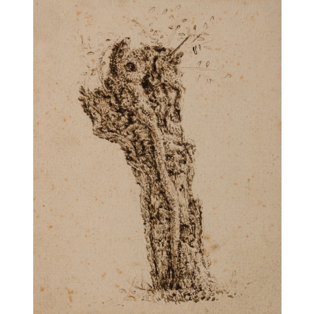 Claes van Beresteyn (Harlem 1629-1684 Harlem) Study of a truncated willow tree (c. 1650)