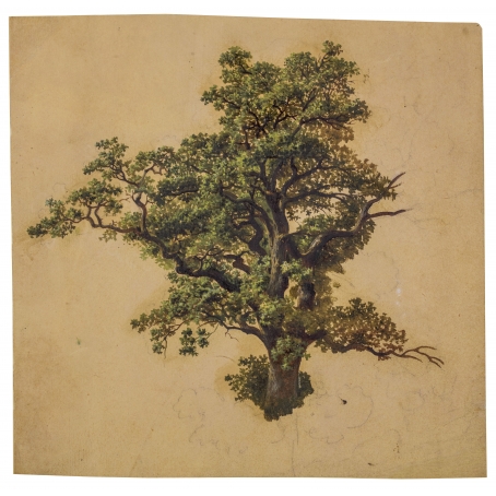 François Roffiaen (Ypres 1820-1898 Ixelles) Study of a tree