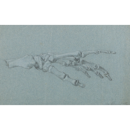 Jan l'Admiral (Amsterdam 1699-1773 Amsterdam) Study of the skeleton of a left hand