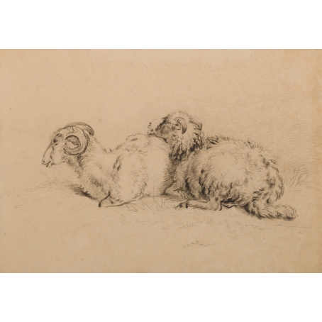 Pieter Gerardus van Os (The Hague, 1776-1839) Two Wiltshire Horn sheep (ewe and ram)