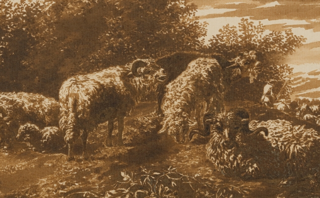 Sheep resting in a landscape
